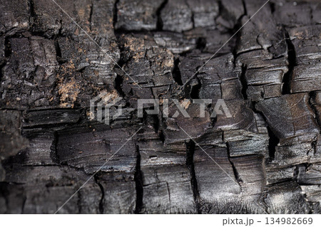 Charred wood surface showcasing textures and details in natural light Charred wood surface showcasing textures and details in natural light 134982669