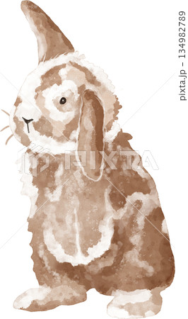 Watercolor bunny illustration. Cute rabbit drawing. Beige rabbit art Watercolor bunny illustration. Cute rabbit drawing. Beige rabbit art 134982789