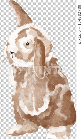 Watercolor bunny illustration. Cute rabbit drawing. Beige rabbit art Watercolor bunny illustration. Cute rabbit drawing. Beige rabbit art 134982789