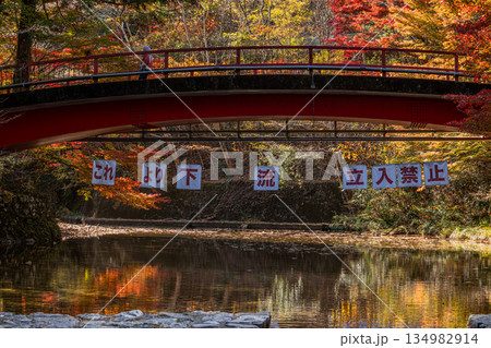 新城市の愛知県民の森の風景(愛知県) 134982914