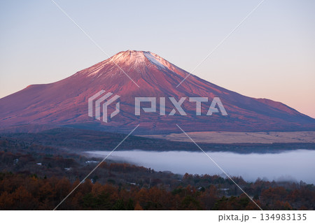 朝焼けの富士山 朝焼けの富士山 134983135