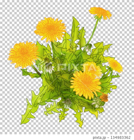 路邊的蒲公英 134983362