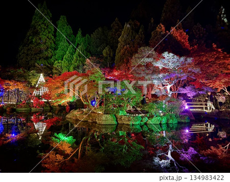 ライトアップされた紅葉 越前陶芸村 陶あかり 福井県陶芸館 ライトアップされた紅葉 越前陶芸村 陶あかり 福井県陶芸館 134983422