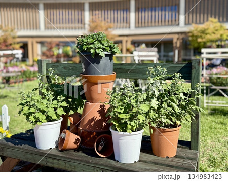 庭にある植木鉢 武生中央公園 植木鉢で作った人形 庭にある植木鉢 武生中央公園 植木鉢で作った人形 134983423
