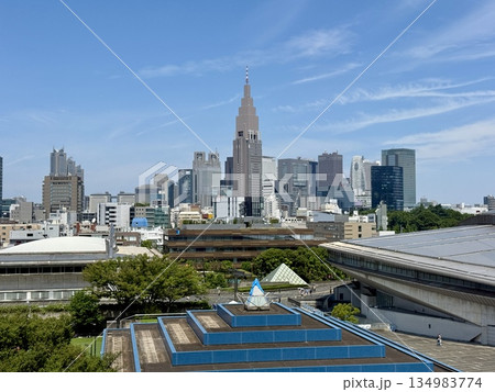 上から見た東京　新宿区の摩天楼 134983774