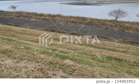 河川敷の風景 河川敷の風景 134983952
