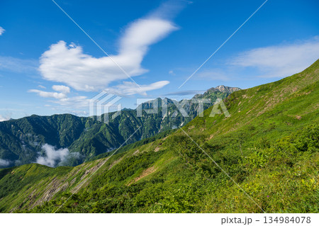 八方尾根から望む初夏の北アルプスの山 八方尾根から望む初夏の北アルプスの山 134984078