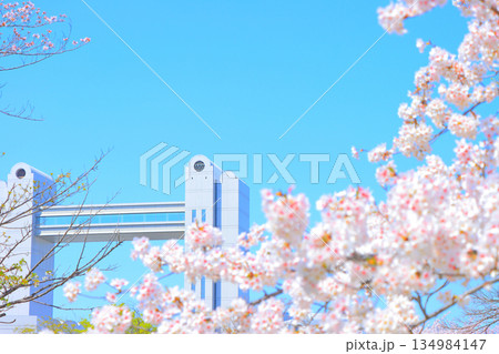 春の愛知県名古屋市、満開の桜と名古屋国際会議場の風景 春の愛知県名古屋市、満開の桜と名古屋国際会議場の風景 134984147