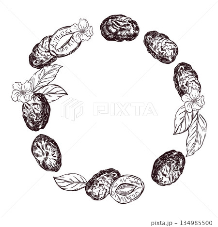 A wreath of dry prunes, flowers and leaves. Hand drawn plum fruit and florak in circle frame. Natural dried fruit for healthy food and cooking application. Botanical sketch for packaging. A wreath of dry prunes, flowers and leaves. Hand drawn plum fruit and florak in circle frame. Natural dried fruit for healthy food and cooking application. Botanical sketch for packaging. 134985500