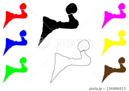 Pisco city (Republic of Peru) map vector illustration, scribble sketch Pisco map 134986813