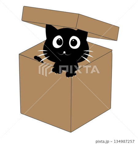 Cute black cat cartoon inside a cardboard box illustration. Adorable cat character peeking playing and resting in an open box. Cute black cat cartoon inside a cardboard box illustration. Adorable cat character peeking playing and resting in an open box. 134987257
