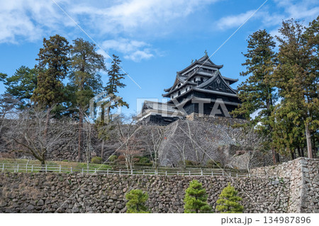 国宝 松江城 -島根県松江市- 国宝 松江城 -島根県松江市- 134987896