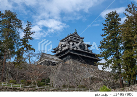 国宝 松江城 -島根県松江市- 134987900