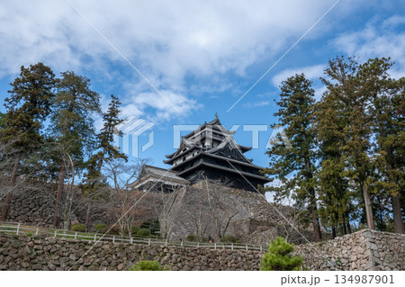 国宝 松江城 -島根県松江市- 国宝 松江城 -島根県松江市- 134987901