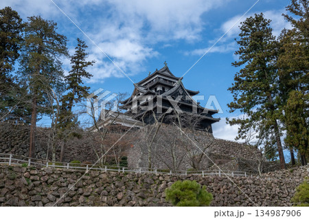 国宝 松江城 -島根県松江市- 134987906