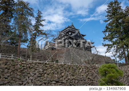 国宝 松江城 -島根県松江市- 国宝 松江城 -島根県松江市- 134987908