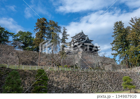 国宝 松江城 -島根県松江市- 134987910