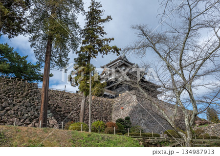 国宝 松江城 -島根県松江市- 134987913