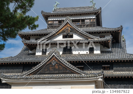 国宝 松江城 -島根県松江市- 国宝 松江城 -島根県松江市- 134987922