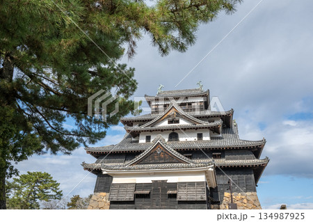 国宝 松江城 -島根県松江市- 国宝 松江城 -島根県松江市- 134987925