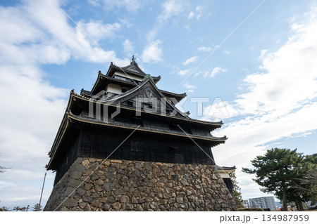 国宝 松江城 -島根県松江市- 国宝 松江城 -島根県松江市- 134987959