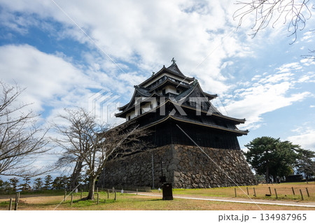 国宝 松江城 -島根県松江市- 134987965