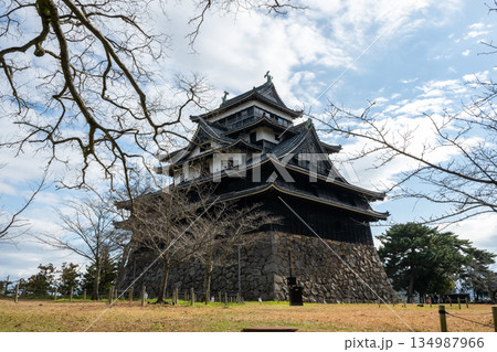 国宝 松江城 -島根県松江市- 134987966