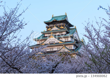 大阪城と桜の夕景 134988062
