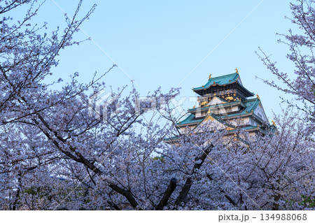 大阪城と桜の夕景 134988068