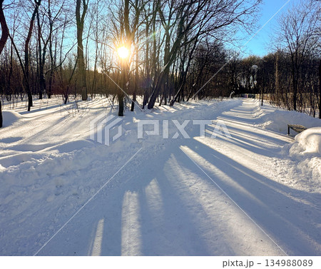 Curving snowy park path between bare trees in winter daylight. Natural rhythm, calm movement, seasonal silence, outdoor solitude, and balanced landscape composition. 134988089