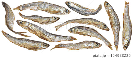 Small dried fish isolated on white background, salty anchovy collection, full depth of field Small dried fish isolated on white background, salty anchovy collection, full depth of field 134988226