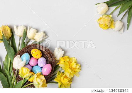 Easter colored painted eggs in bird nest with yellow daffodils, white tulips on gray background with space for text and greetings. Easter and spring concept. Spring background Easter colored painted eggs in bird nest with yellow daffodils, white tulips on gray background with space for text and greetings. Easter and spring concept. Spring background 134988543