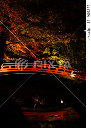 森町の遠江国一宮小國神社の紅葉の風景(静岡県) 森町の遠江国一宮小國神社の紅葉の風景(静岡県) 134989275
