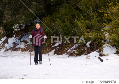 Woman Hiking With Poles Through Snowy Forest On Winter Adventure Woman Hiking With Poles Through Snowy Forest On Winter Adventure 134989478