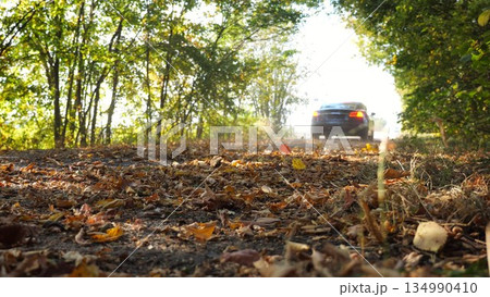 Black electric sedan driving fast along an empty road on yellow leaves. Powerful electrical car crossing through alley. Colorful autumn foliage flying out from under wheel of auto. Low view Black electric sedan driving fast along an empty road on yellow leaves. Powerful electrical car crossing through alley. Colorful autumn foliage flying out from under wheel of auto. Low view 134990410