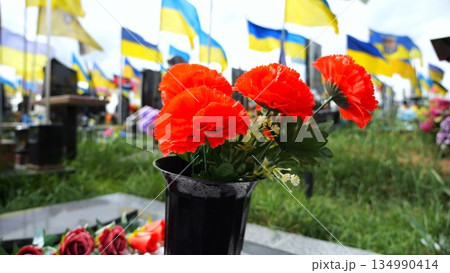 Bright red poppies flower serving as universal sign of memory in military cemetery. At blurred background ukrainian flags mark graves of fallen soldiers creating solemn tribute to sacrifice and memory 134990414