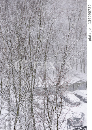 snow covered urban landscape with a tall building in the background.  134990729