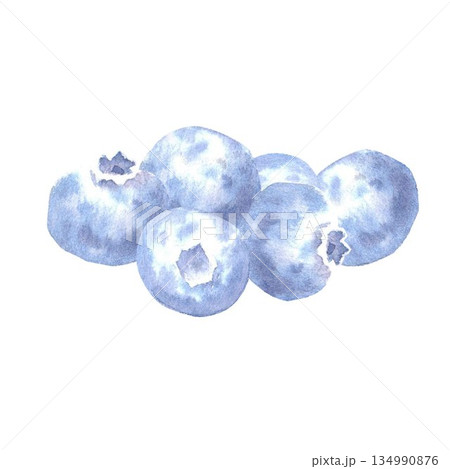 Blueberries drawn by hand in watercolor on an isolated background for the design of menus and advertising in the store, fabric, stickers, design of desserts, baked goods, juices, fruit drinks. 134990876