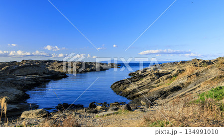 神奈川県最南端城ヶ島の冬 134991010