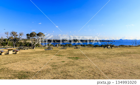 神奈川県最南端城ヶ島の冬 神奈川県最南端城ヶ島の冬 134991020