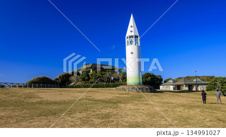 神奈川県最南端城ヶ島の冬 134991027