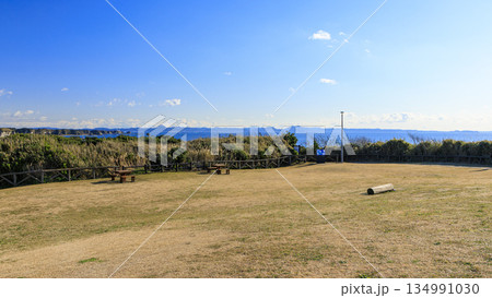 神奈川県最南端城ヶ島の冬 134991030