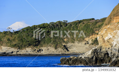 神奈川県最南端城ヶ島の冬 神奈川県最南端城ヶ島の冬 134991032
