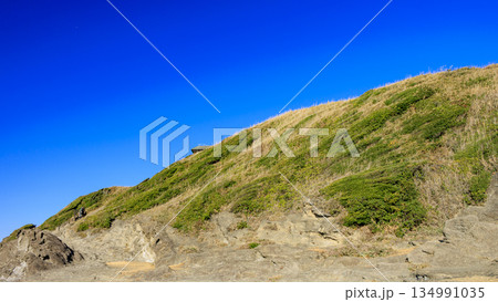 神奈川県最南端城ヶ島の冬 神奈川県最南端城ヶ島の冬 134991035