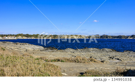 神奈川県最南端城ヶ島の冬 神奈川県最南端城ヶ島の冬 134991038