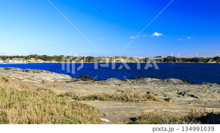 神奈川県最南端城ヶ島の冬 神奈川県最南端城ヶ島の冬 134991039