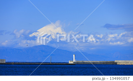 神奈川県最南端城ヶ島の冬 神奈川県最南端城ヶ島の冬 134991057