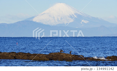 和田長浜からみた富士山 134991142