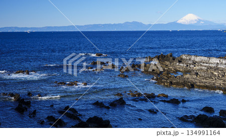 横須賀市の荒崎公園の冬 134991164