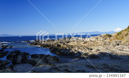横須賀市の荒崎公園の冬 134991167